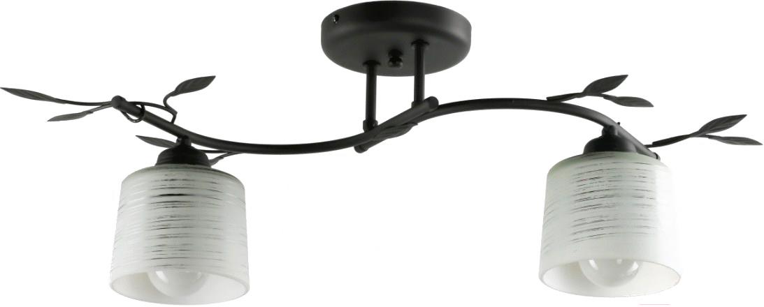 

Потолочный светильник Lampex Viola 2A 648/2A CZA, Viola 2A 648/2A CZA