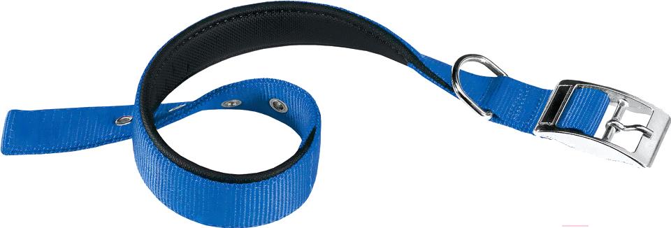 

Ошейник Ferplast Daytona C40/63 (синий), Daytona C40/63
