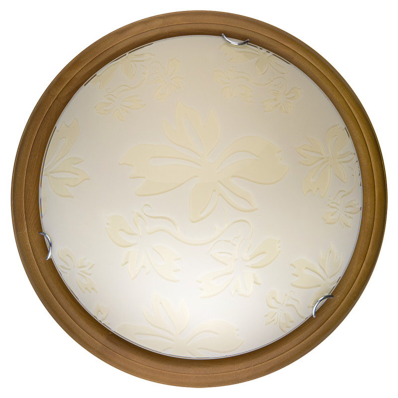 

Бра TOPLIGHT Настенно-потолочный светильник [TL9640Y-00OA], Настенно-потолочный светильник