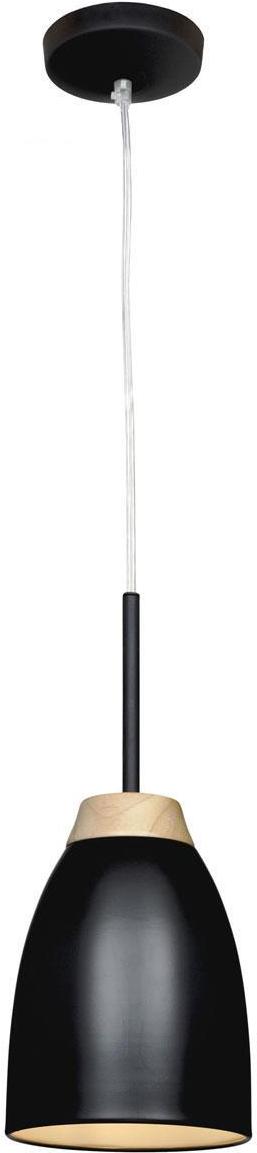 

Подвесной светильник LOFT IT LOFT4402A-BL