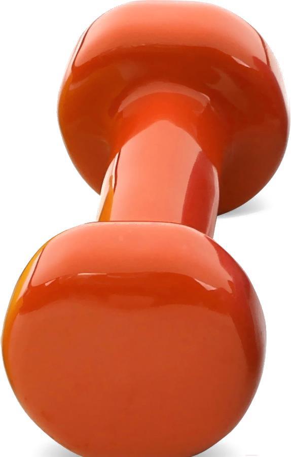 

Гантель Sundays Fitness IR92005 1.5кг оранжевый, Fitness IR92005 1.5кг