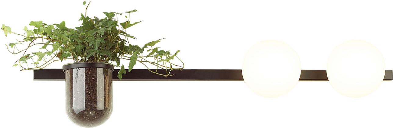 

Бра Odeon Light Flower 4681/2W