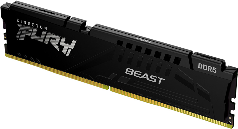 

Оперативная память Kingston FURY Beast Black (KF556C36BBE-16)