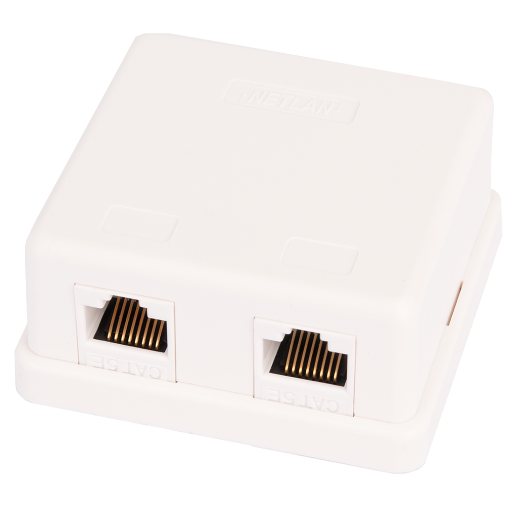 

Розетка NETLAN EC-UWO-2-UD2-WT, Розетка NETLAN EC-UWO-2-UD2-WT (белый)