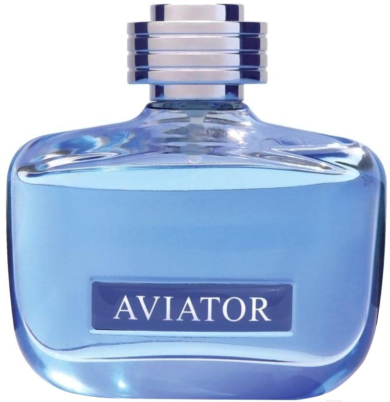 

Туалетная вода Paris Bleu Parfums Aviator Authentic 100мл, Aviator Authentic 100мл
