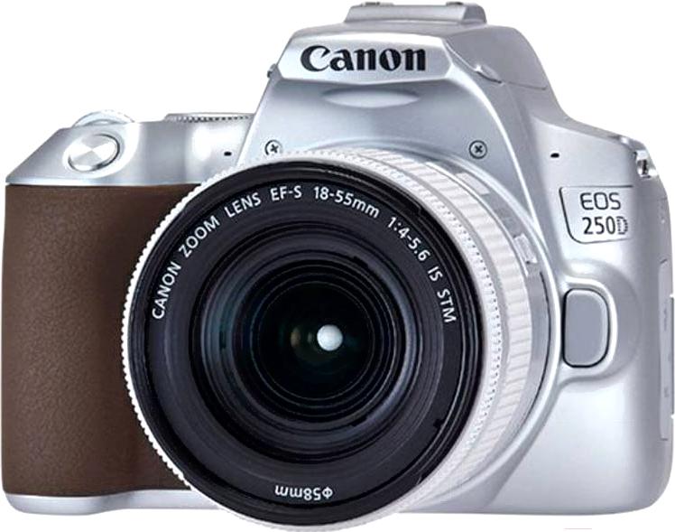 

Фотоаппарат Canon EOS 250D Kit EF-S 18-55mm IS STM серебристый [3461C001], EOS 250D Kit EF-S 18-55mm IS STM