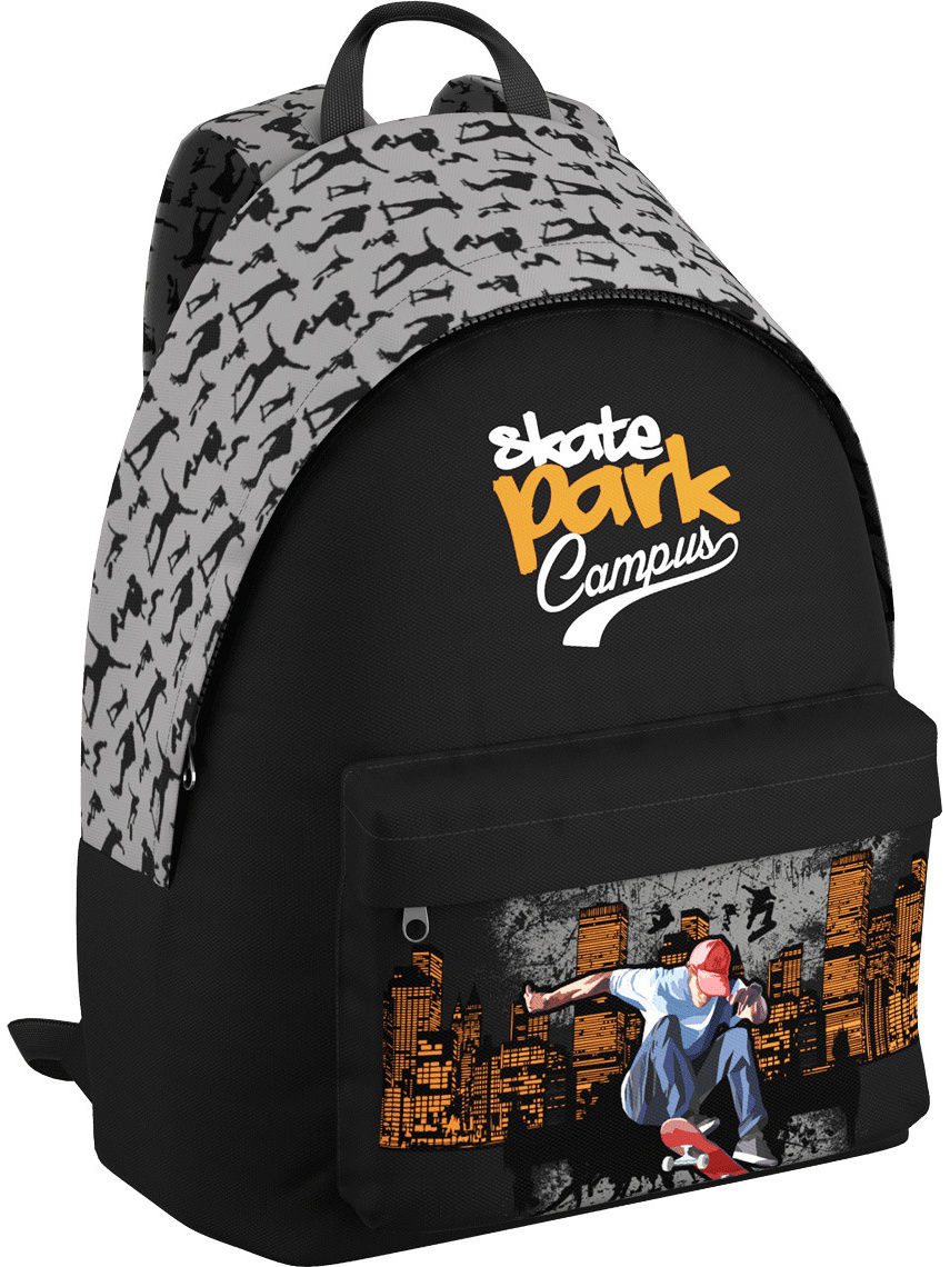 

Школьный рюкзак Erich Krause EasyGo Skate 40х39х18 [42476], EasyGo Skate 40х39х18