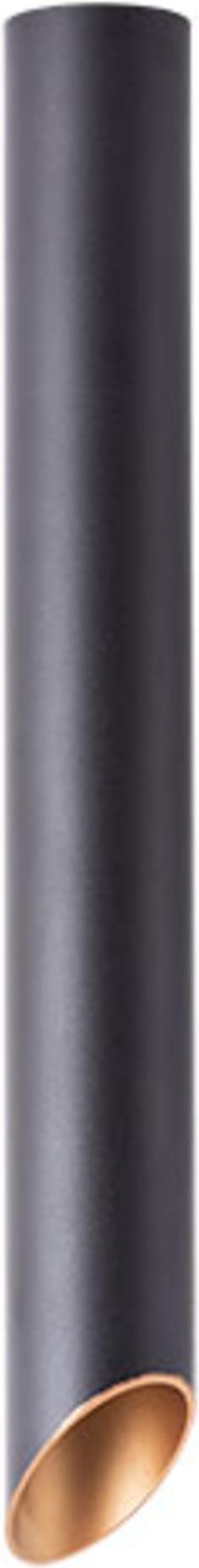 

Потолочный светильник Arte Lamp A1537PL-1BK