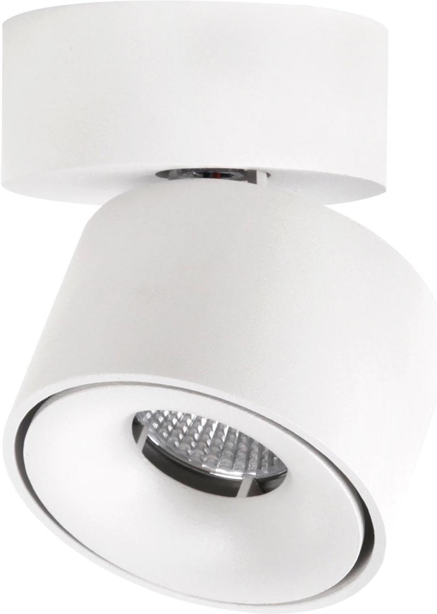 

Спот Citilux CL558010N