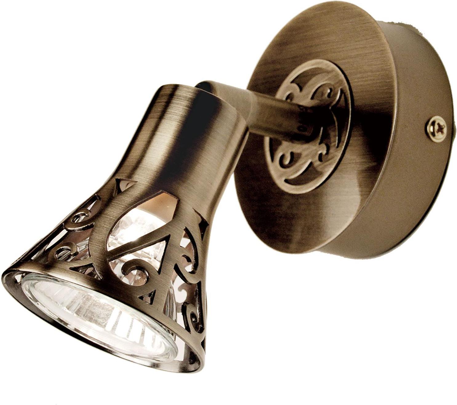 

Спот Citilux CL519513