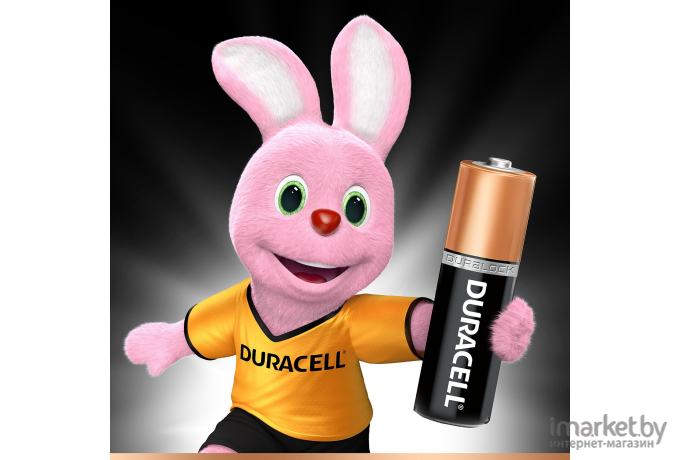 Батарейки DURACELL AA 6 шт.