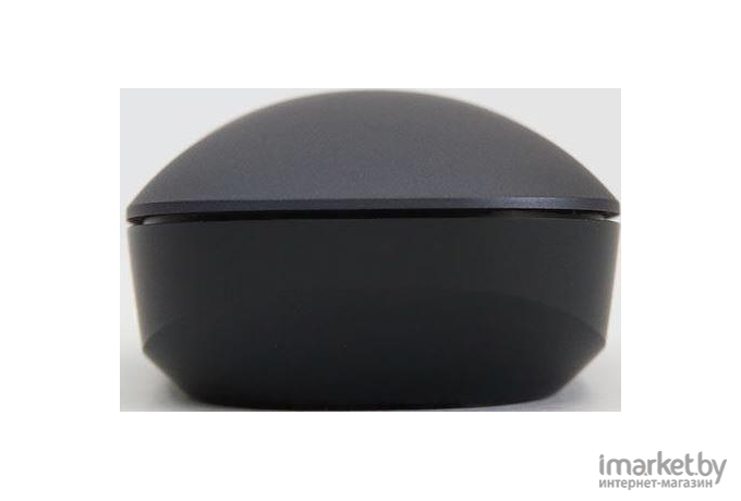 Мышь Xiaomi Mi Mouse WSB01TM черный [HLK4012GL]