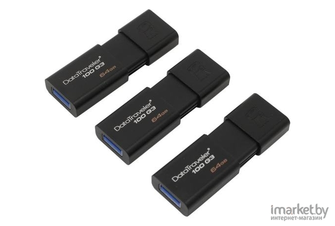 USB Flash Kingston DataTraveler 100 G3 64GB (DT100G3/64GB)