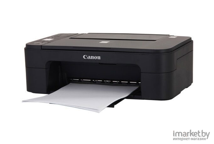 Принтер Canon PIXMA TS304