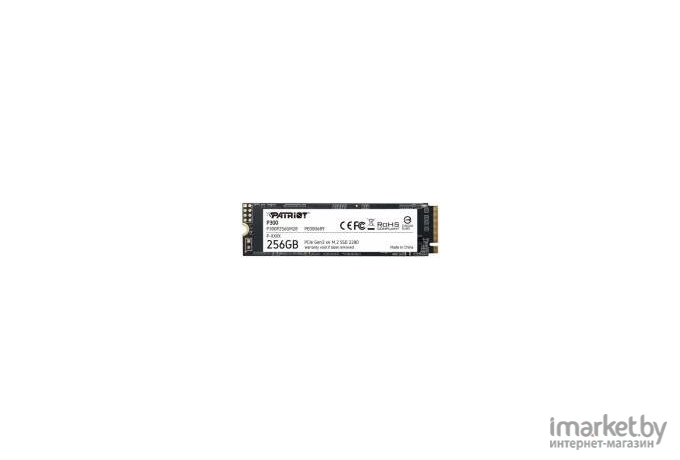 SSD Transcend 110S 256GB TS256GMTE110S