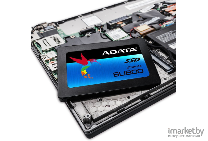 SSD диск A-data Ultimate SU800 256GB (ASU800SS-256GT-C)