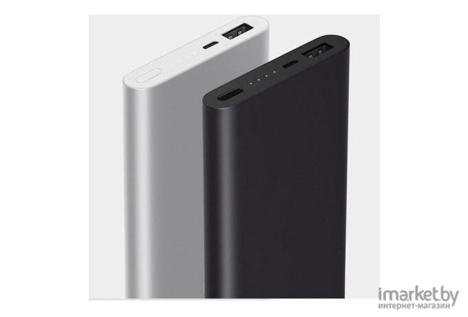 Портативное зарядное устройство Xiaomi Mi Power Bank 2 10000mAh (серебристый) [VXN4182CN]