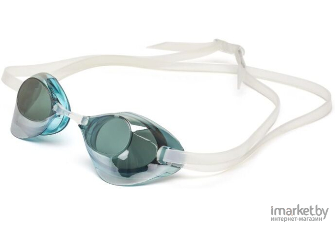 Очки для плавания Atemi R302M (голубой)