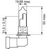 Автомобильная лампа Bosch 1987301063