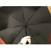 Зонт складной Xiaomi Automatic Umbrella JDV4002TY (черный)