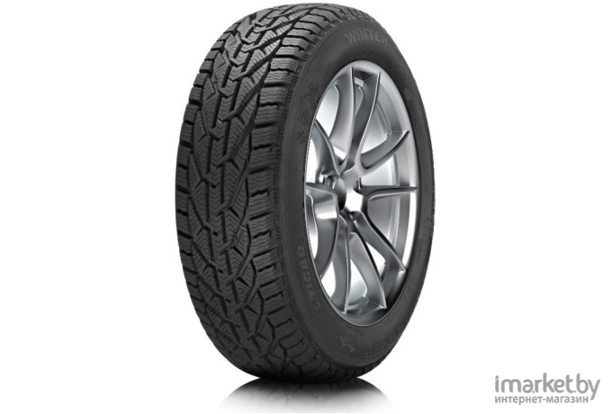 Зимняя шина Tigar Winter 205/55R17 95V