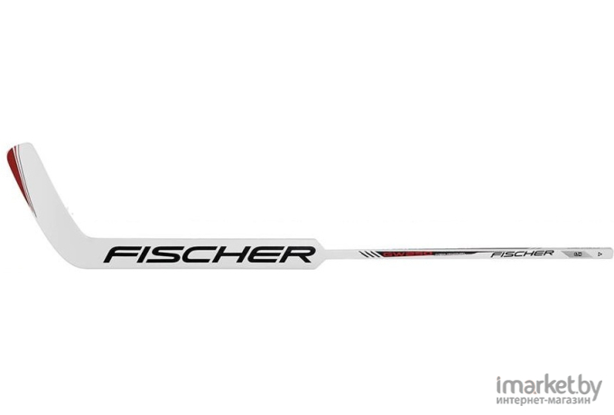 Хоккейная клюшка Fischer GW250 YTH [H18216.18]