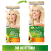 Крем-краска для волос Garnier Color Naturals Creme 10 (белое солнце)