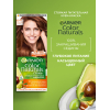 Крем-краска для волос Garnier Color Naturals Creme 6.41 (сияющий янтарь)