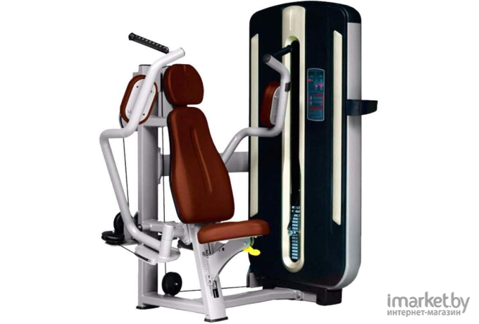 Баттерфляй Bronze Gym MNM-002