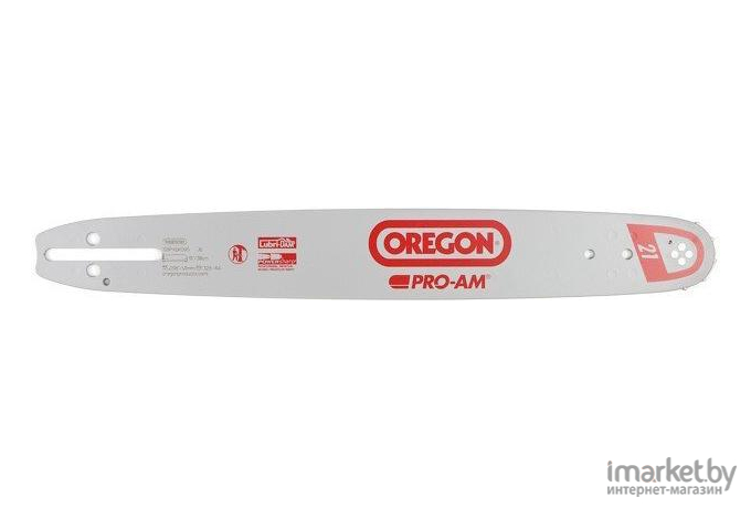Шина для цепной пилы Oregon Pro-am 38 см 15 0.325 1.5 мм 10 зуб. [158PXBK095]