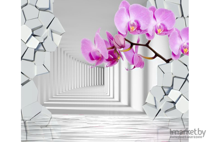 Фотообои Citydecor Орхидея 3D (300x254)