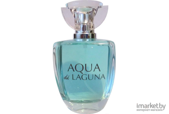 Парфюмерная вода Dilis Parfum Aqua Di Laguna 100мл