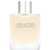 Туалетная вода Dilis Parfum Adagio 100мл