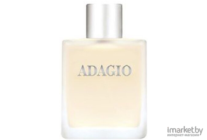 Туалетная вода Dilis Parfum Adagio 100мл