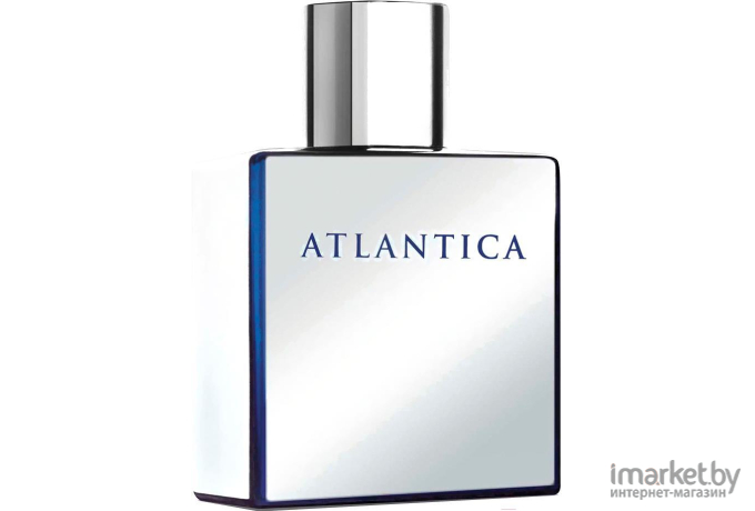 Туалетная вода Dilis Parfum Atlantica Mercury 100мл