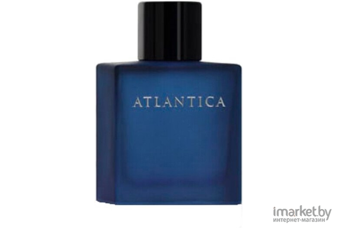 Туалетная вода Dilis Parfum Atlantica Odyssey 100мл