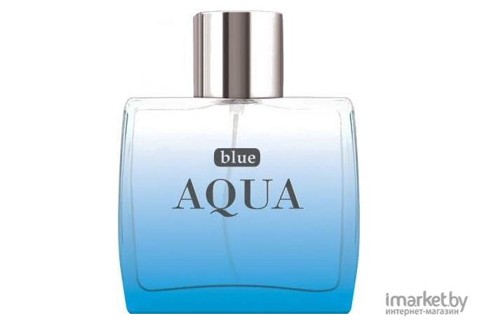 Туалетная вода Dilis Parfum Blue Aqua 100мл