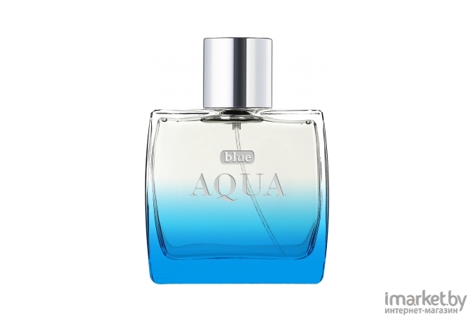 Туалетная вода Dilis Parfum Blue Aqua 100мл