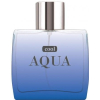 Туалетная вода Dilis Parfum Cool Aqua 100мл