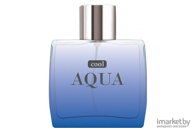 Туалетная вода Dilis Parfum Cool Aqua 100мл