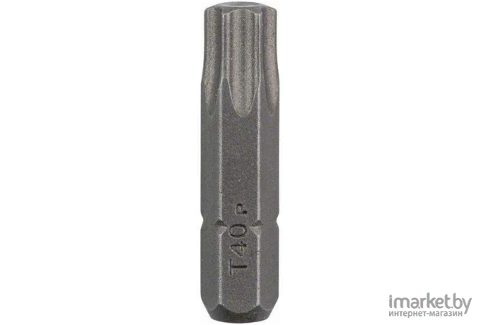 Набор бит Bosch 25мм TORX T40 XH 2607001625