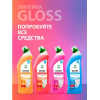 Универсальное чистящее средство Grass Gloss 221600 (0.6л)