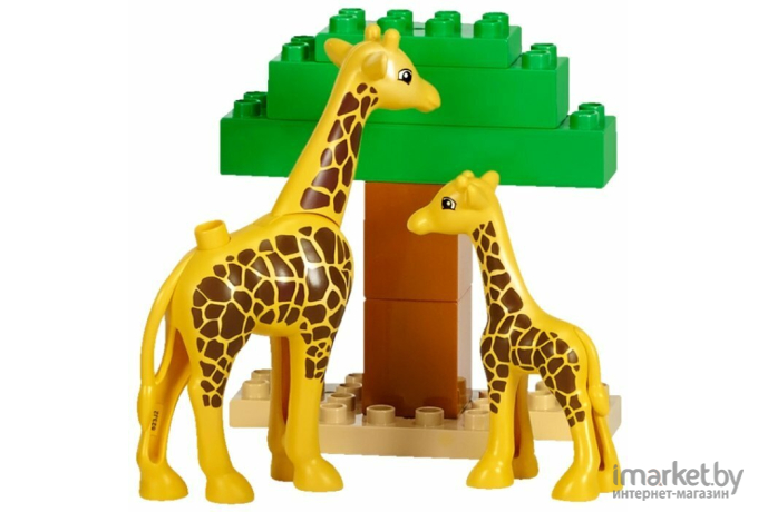 Конструктор LEGO Education 45012 Дикие животные