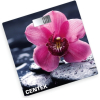 Напольные весы CENTEK CT-2421 (цветы)