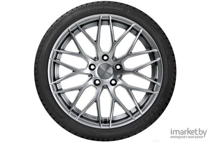 Автомобильная шина Kormoran Road Performance 205/55R16 94V