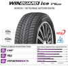 Автомобильная шина Nexen 205/55R16 WINGUARD ICE PLUS 91T