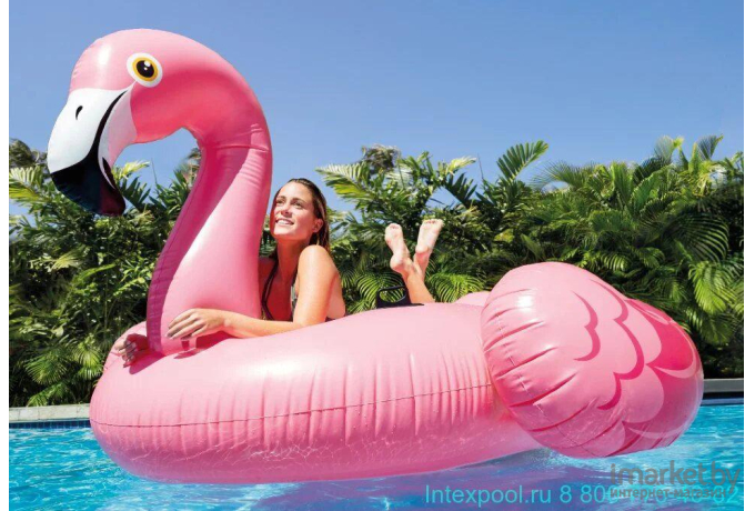 Активная игра Intex Игрушка Flamingo 142х137х97 57558