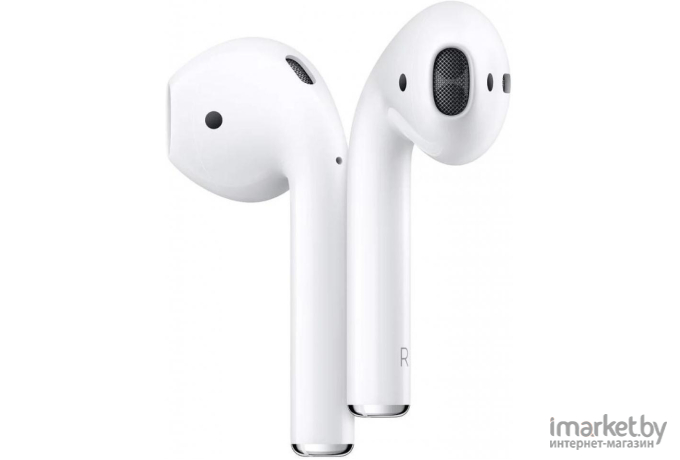 Наушники Apple AirPods 2 в футляре [MRXJ2]