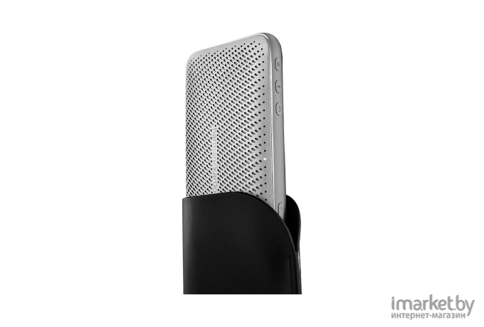 Портативная колонка Harman/Kardon Esquire Mini 2 серебристый [HKESQUIREMINI2SIL]