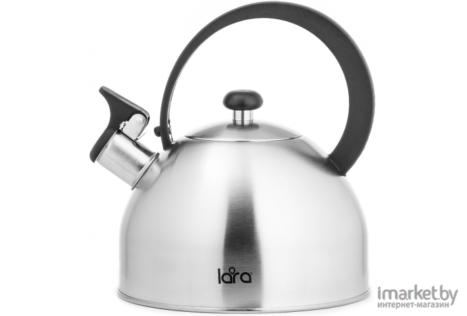 Чайник Lara LR00-65